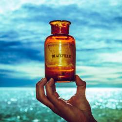 Blackfield : Blackfield V